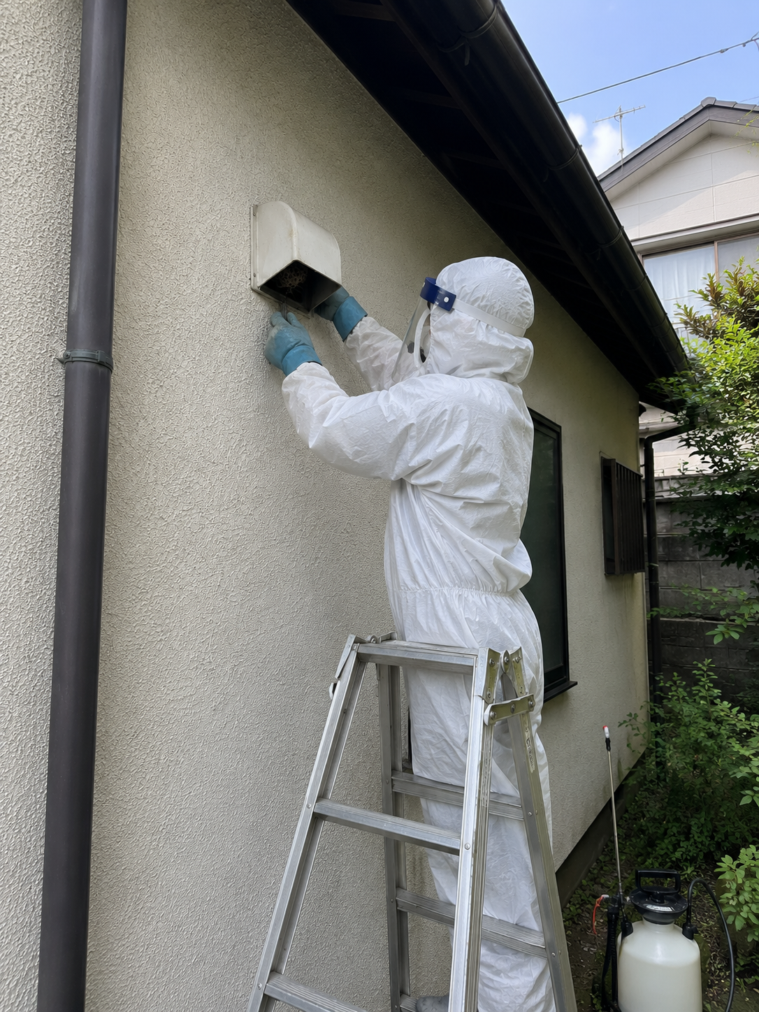 八王子市でトイレ換気扇のアシナガバチ駆除の解説イラスト