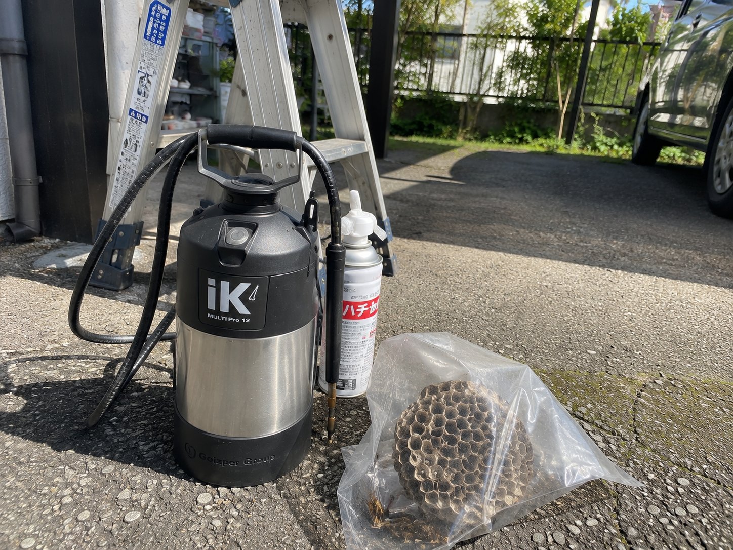 撤去したアシナガバチの巣と作業道具