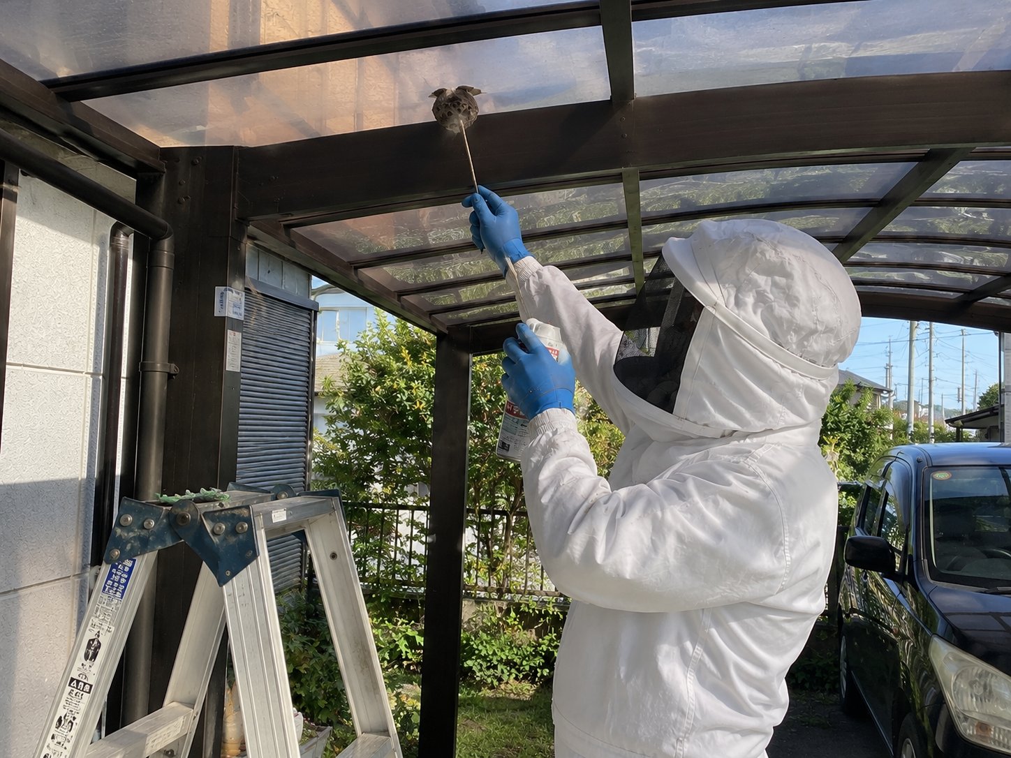 防護服を着用しカーポート屋根裏のアシナガバチの巣を駆除する作業員
