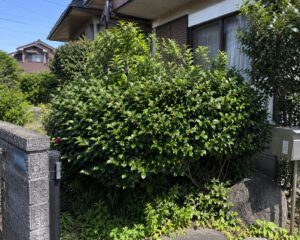 八王子市元八王子町で立ち会いなしのスズメバチ駆除（駆除前）