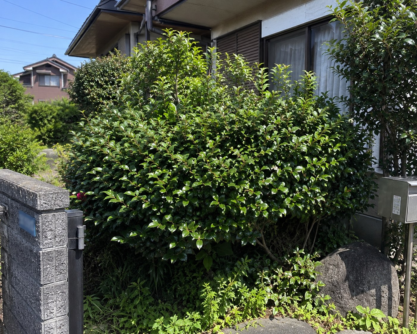 八王子市元八王子町で立ち会いなしのスズメバチ駆除（駆除前）