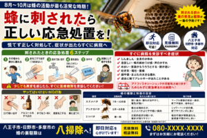 蜂に刺されたときの正しい応急処置の解説イラスト
