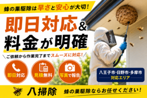蜂の巣駆除の料金相場はいくら?費用が変わる4つのポイントを解説の解説イラスト