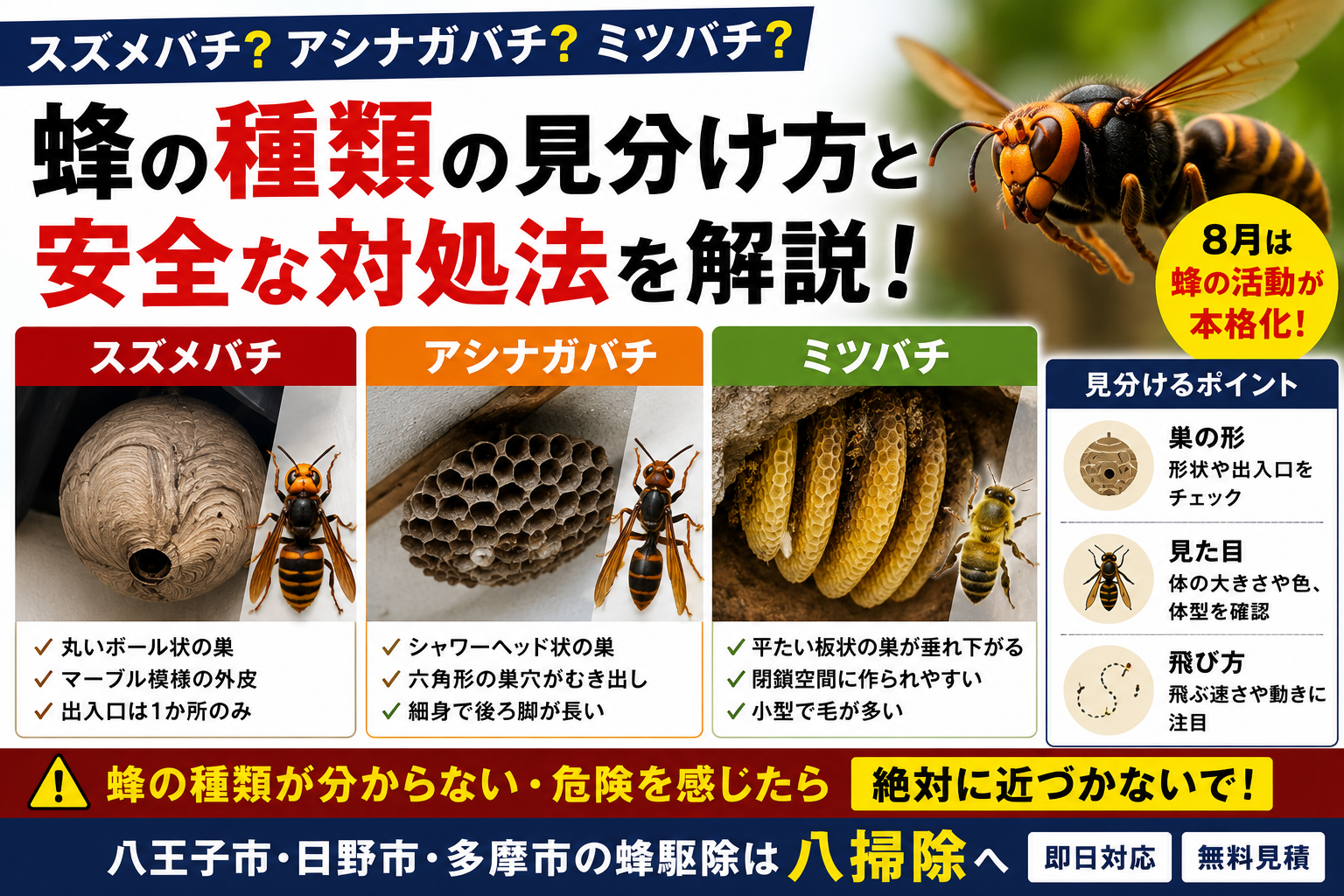 蜂の巣駆除に関する解説イラスト