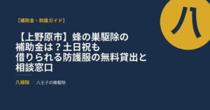 【上野原市】蜂の巣駆除の補助金は？土日祝も借りられる防護服の無料貸出と相談窓口