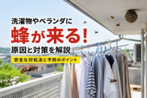 ベランダに蜂が来る原因と対策
