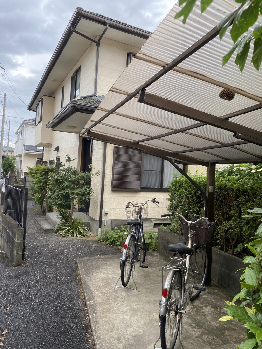 住宅の自転車置き場の屋根下にあるアシナガバチの巣を離れて確認した状況