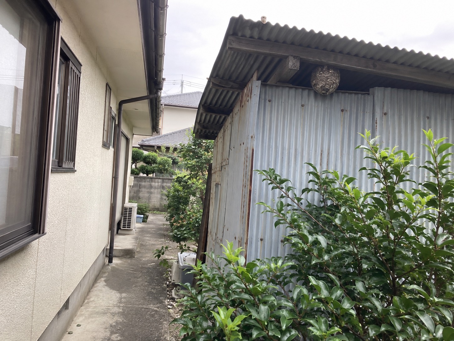 物置とトタン屋根下の巣が見える施工前の全体
