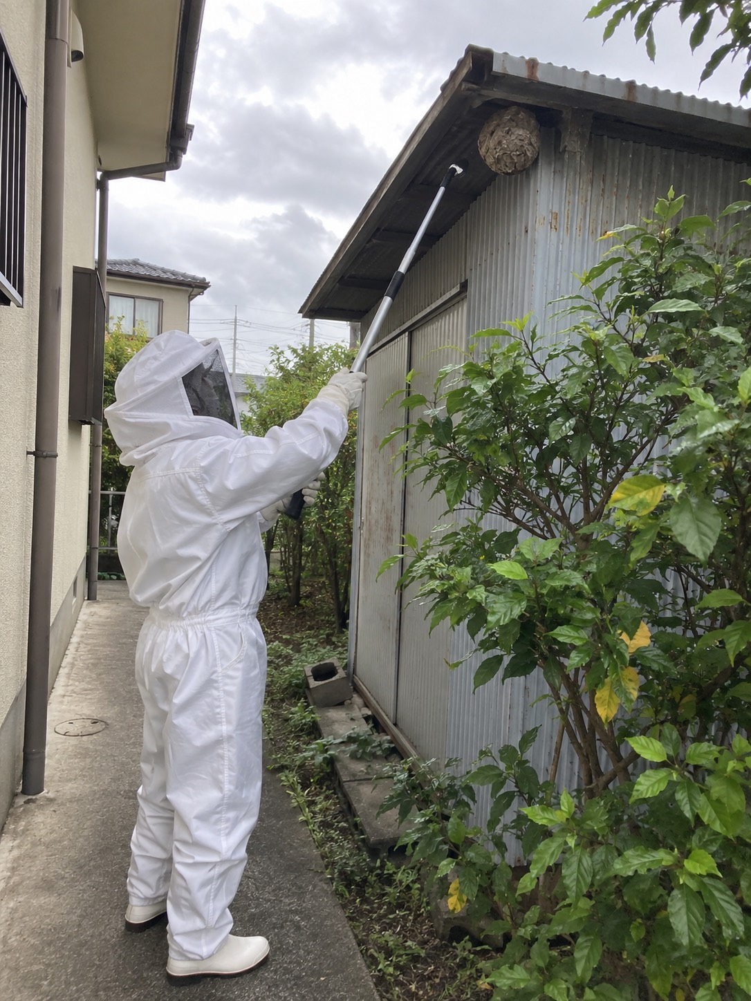 防護服を着た作業者が物置の屋根下を確認する様子