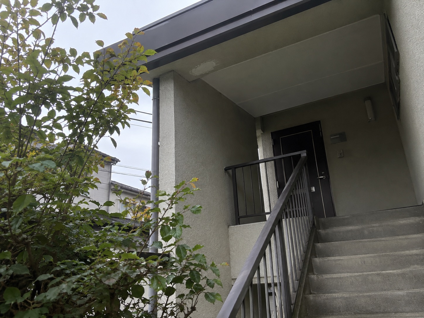 巣がなくなった集合住宅の共用階段の軒下
