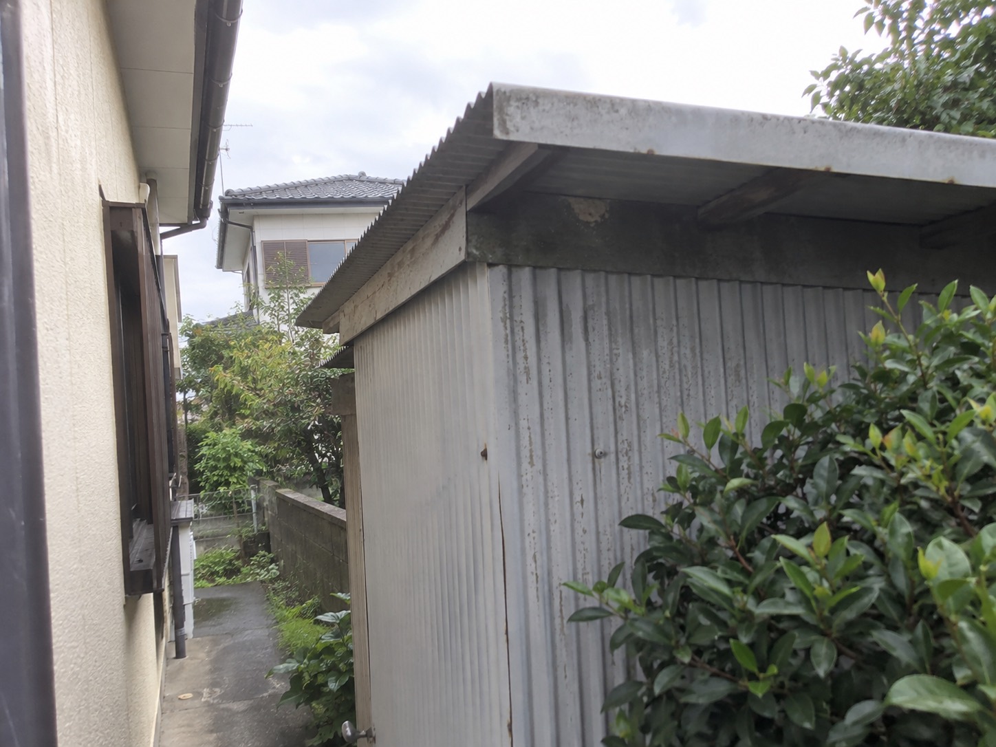 巣を撤去した後の物置トタン屋根下