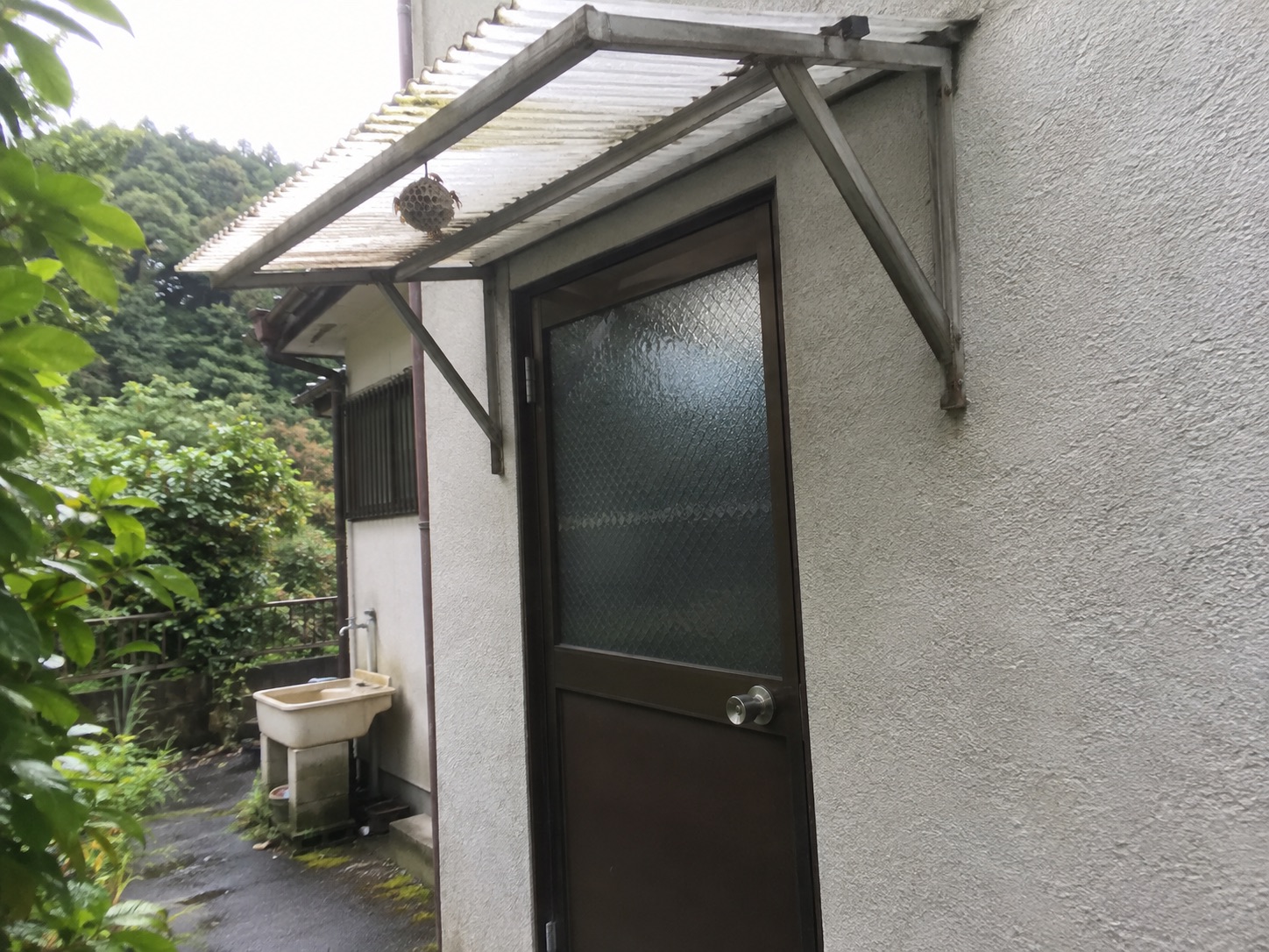 住宅の勝手口にある透明なひさしの裏へ小さな蜂の巣が付いた全体状況