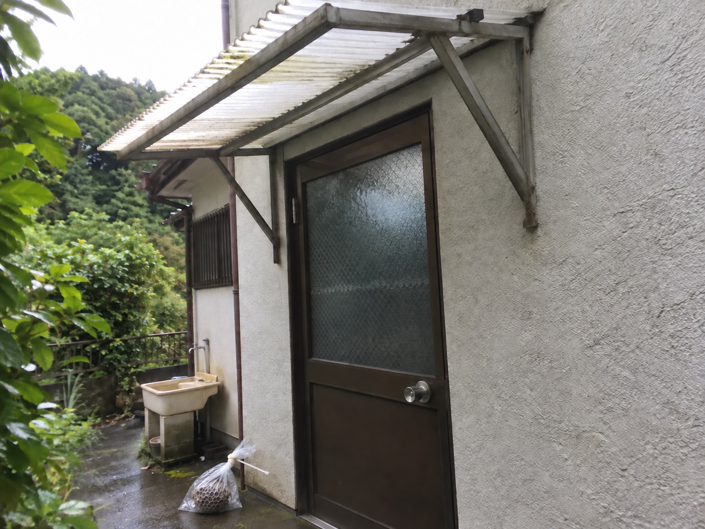 小さなアシナガバチの巣を口をねじって閉じた透明袋へ回収した状態