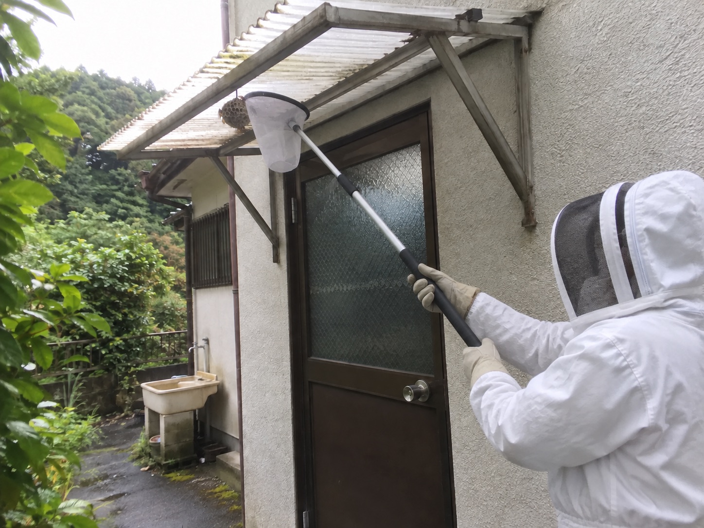 防護服の作業員が安定した地面から長い捕獲道具で巣を処理する様子