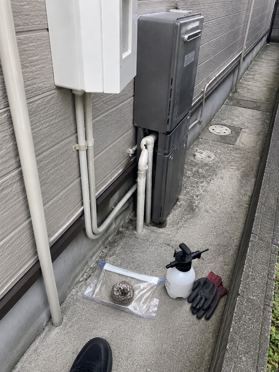 施工後・回収した八王子市石川町の小型アシナガバチの巣