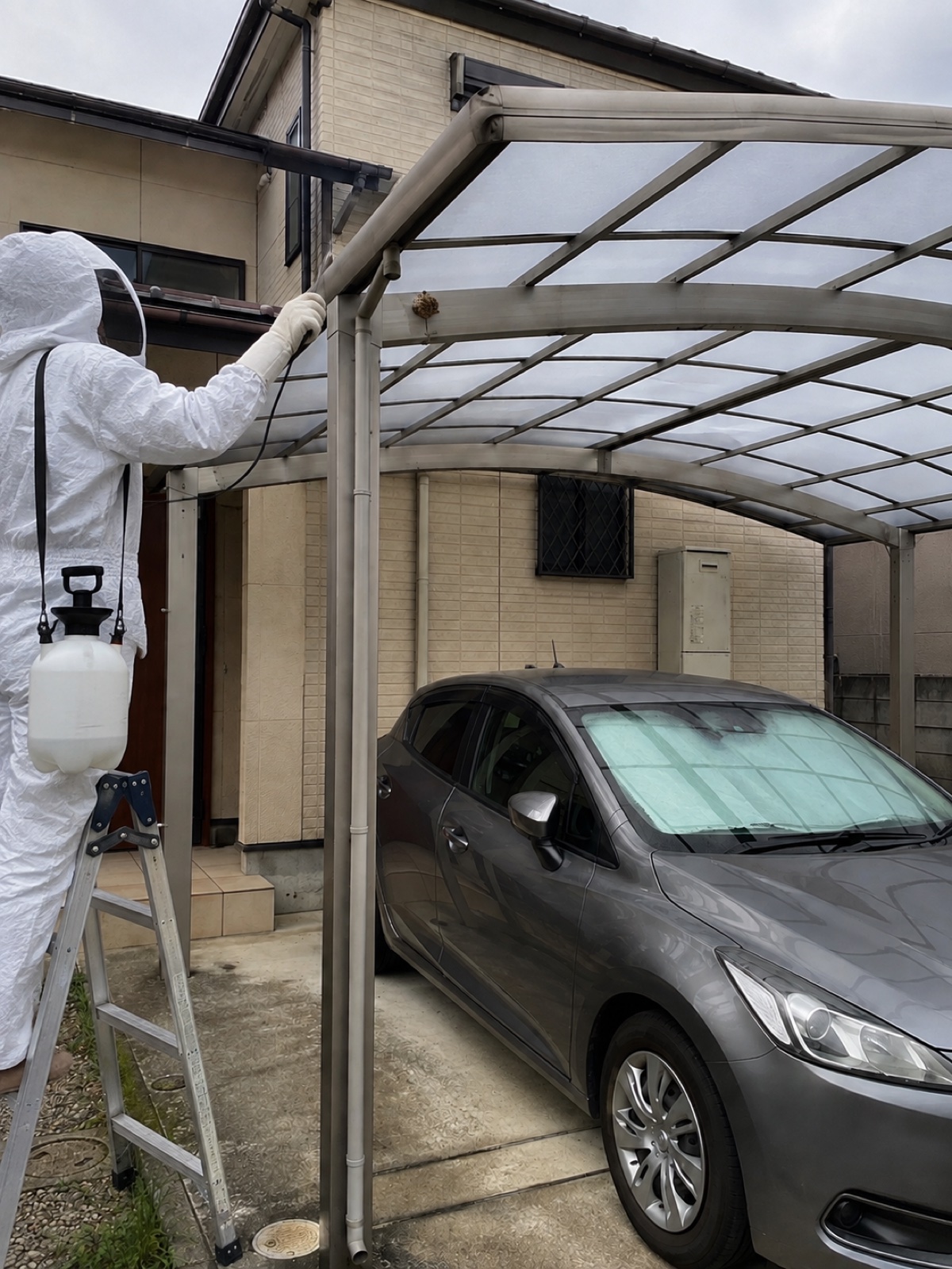 施工中・脚立を使い防護服姿の作業員がカーポートのアシナガバチの巣を撤去している様子