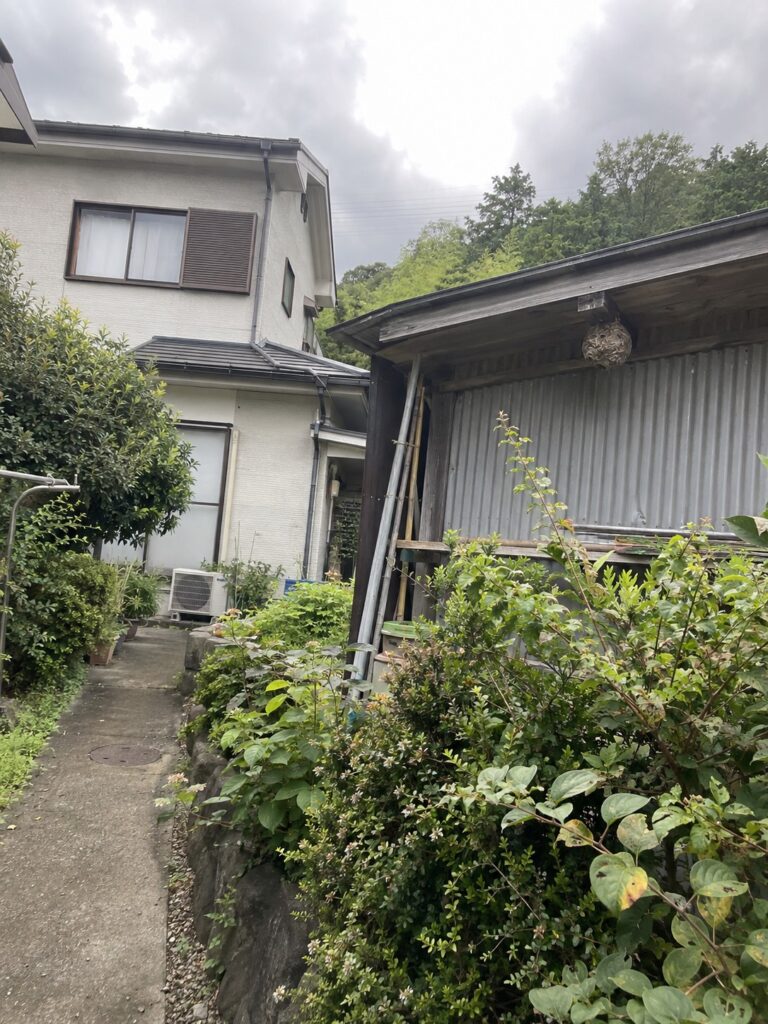 住宅脇の物置の軒下にあるスズメバチの巣を離れて確認した状況
