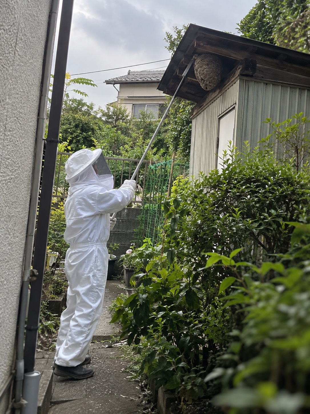 防護服を着た作業員が安定した地面から長い道具で物置の軒下を処理する様子
