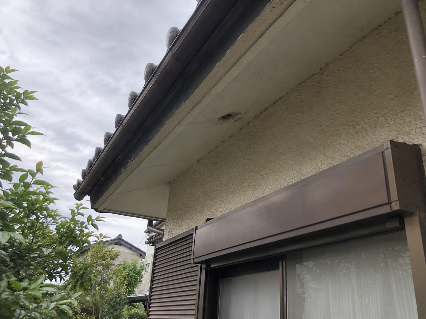 巣を撤去した後の空になった軒下