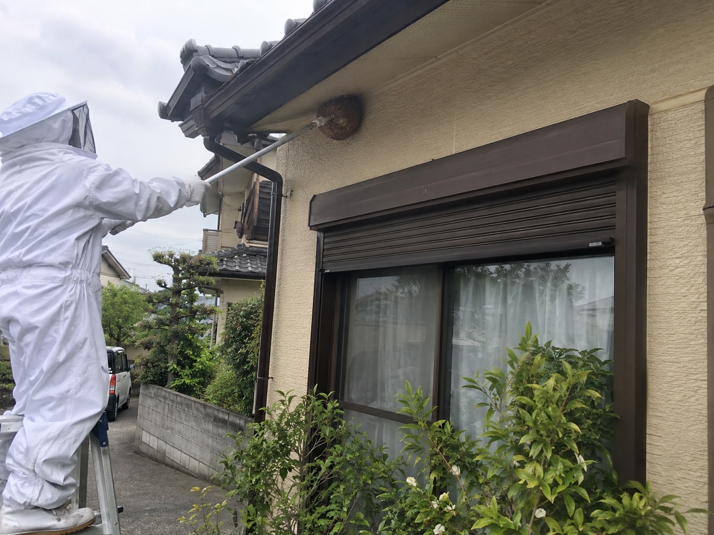 防護服で軒下の蜂の巣を処理している作業中の様子