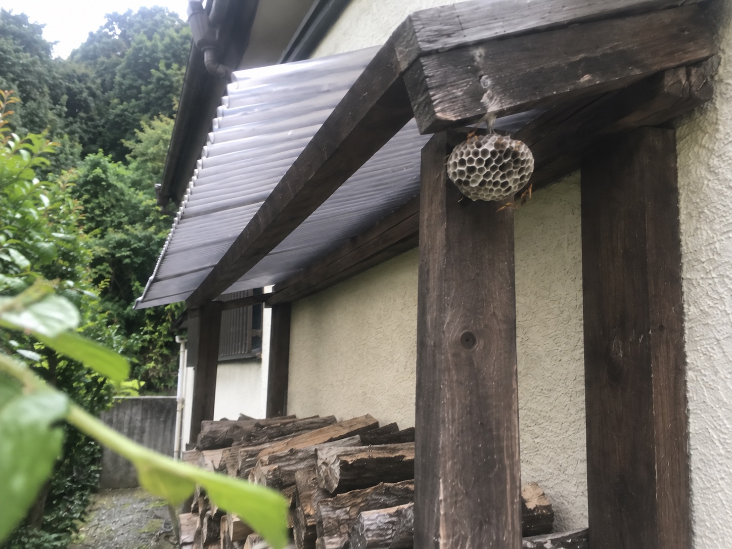 薪棚の屋根を支える木材の裏に付いた六角形の蜂の巣