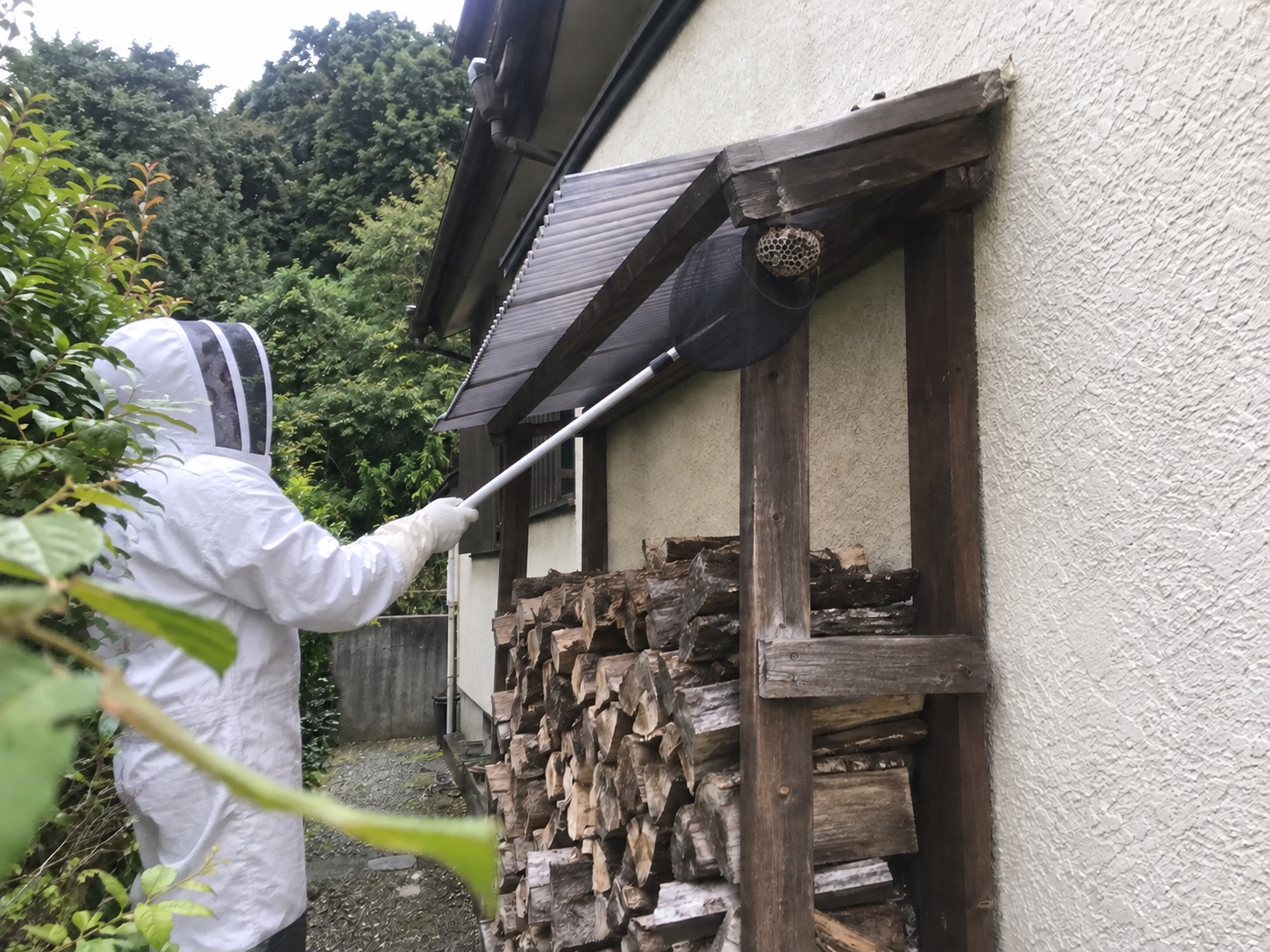 防護服の作業員が安定した地面から長い捕獲道具で巣を処理する様子