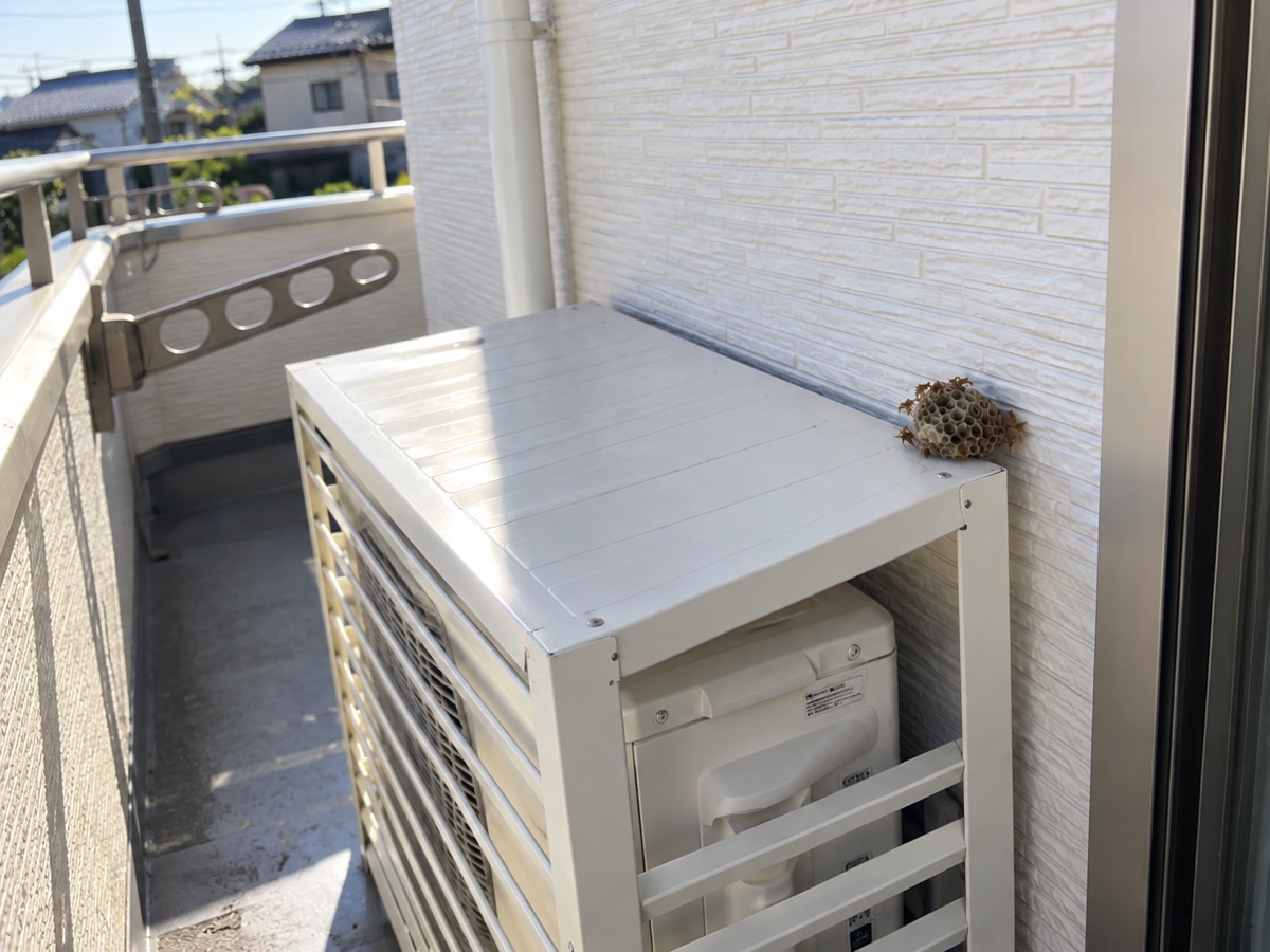ベランダの室外機カバー上部に付いたアシナガバチの巣の近接状況