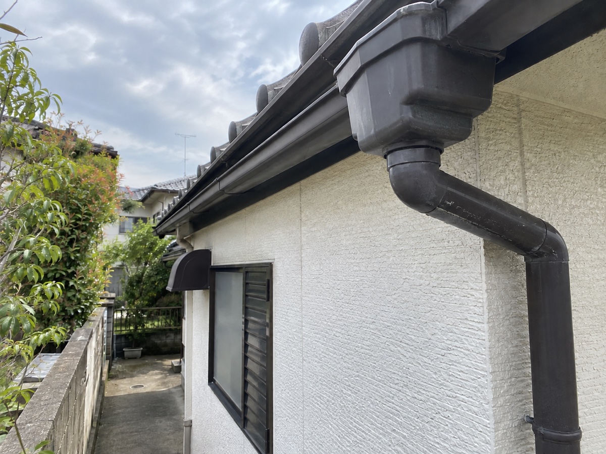 巣を取り除いて空になった雨樋集水器の右側と縦樋接続部