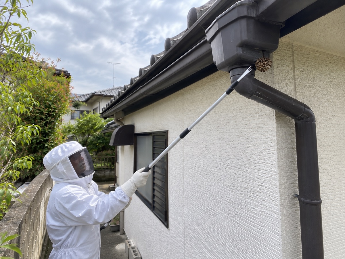 防護服の作業員が雨樋から距離を取り長い道具で巣を処理する様子